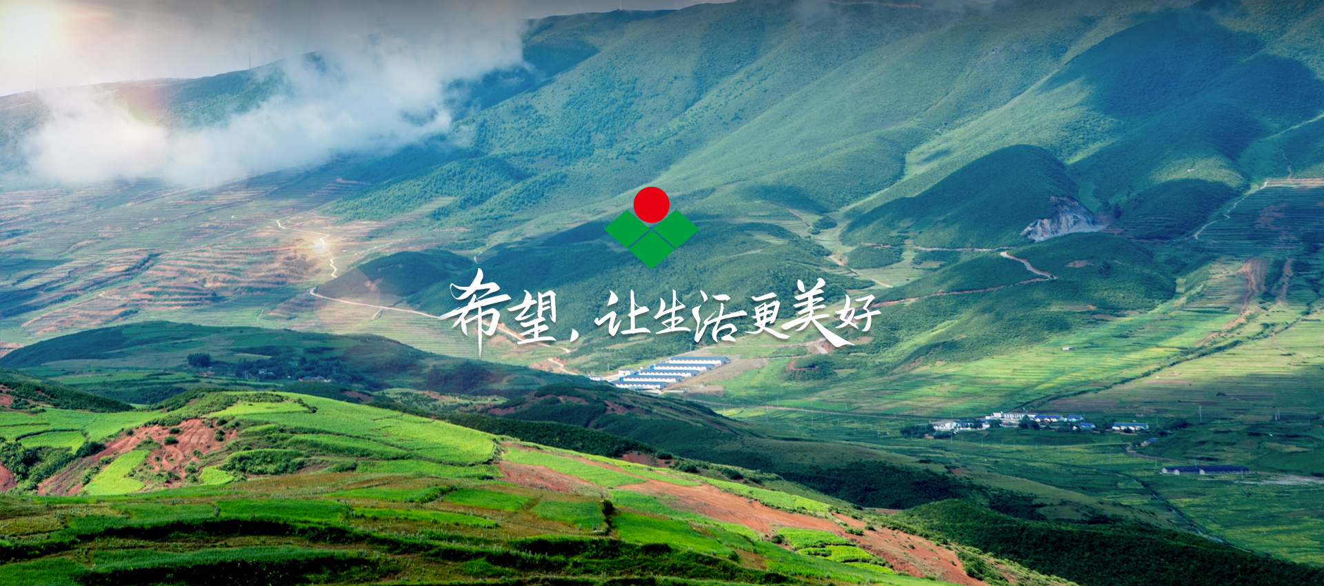 专业生产畜