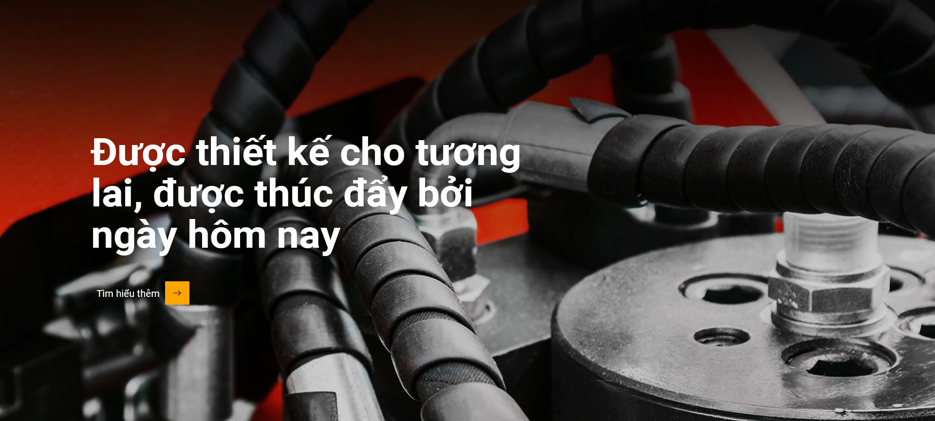 对未列入越南法律禁止出口